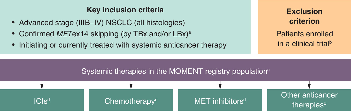 Eligibility criteria for MOMENT study: patients with advanced NSCLC and METex14 skipping receiving systemic therapy, excluding current clinical trial participants.