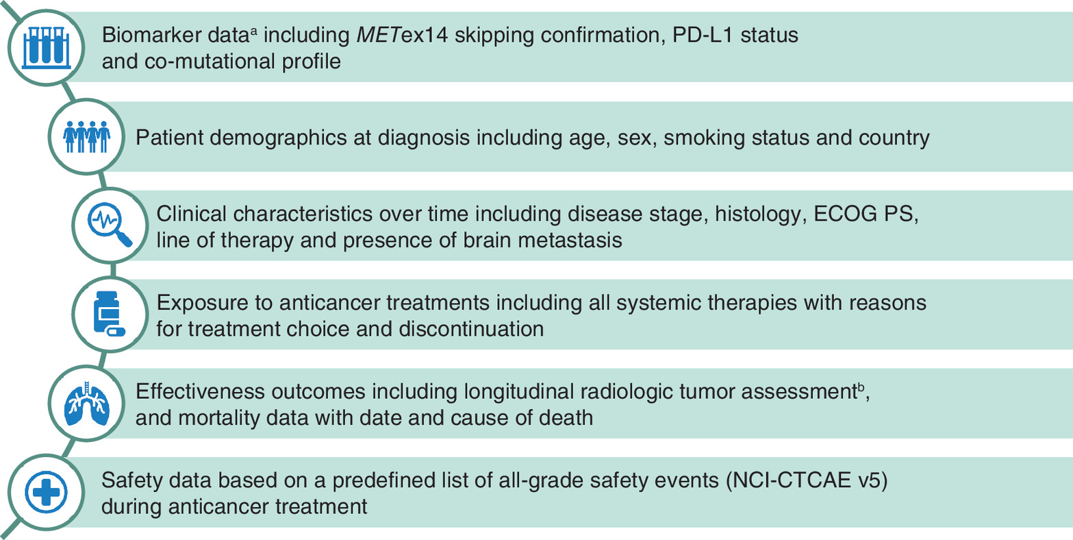 Core data elements collected from enrolled patients in the MOMENT registry, including biomarker testing results, demographics, clinical characteristics, treatment details, effectiveness outcomes and safety data.