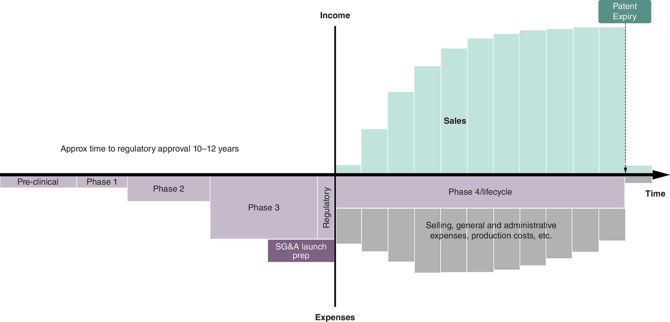 Financial graph illustrating typical cash flows in pharmaceutical drug development where a drug is approved.