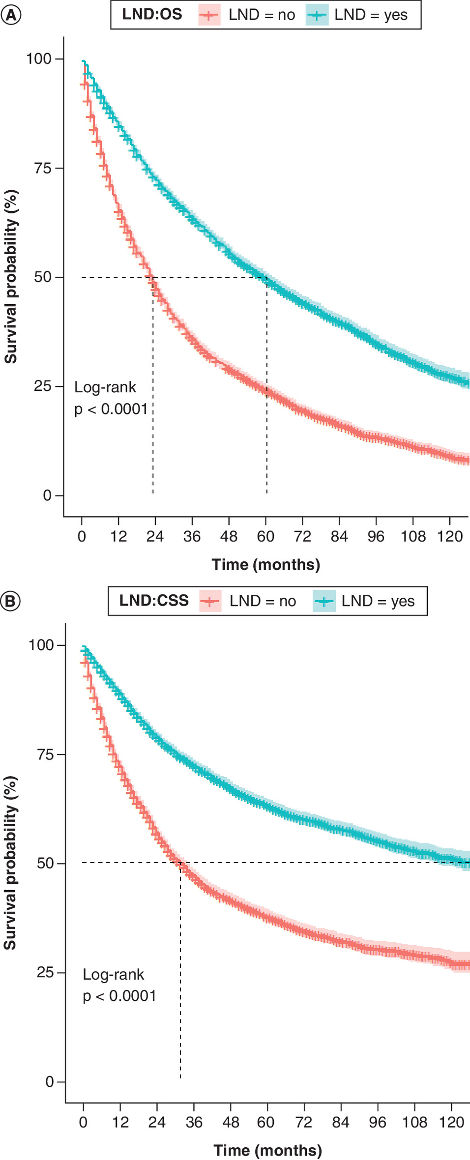 Kaplan–Meier ncurves illustrating overall survival and cancer-specific survival in elderly patients with early-stage NSCLC based on lymph node dissection status.