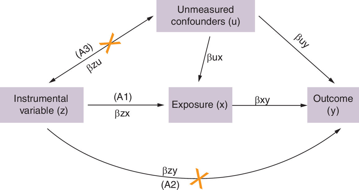 Visualization of a complex neural network architecture used in the research study.