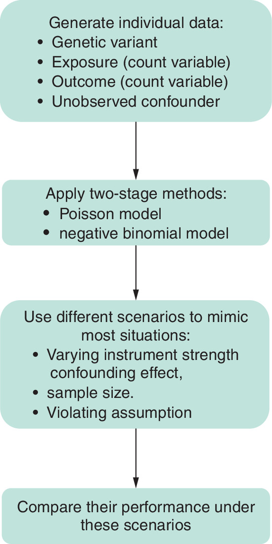 Conceptual overview of the simulation process and performance evaluation framework.