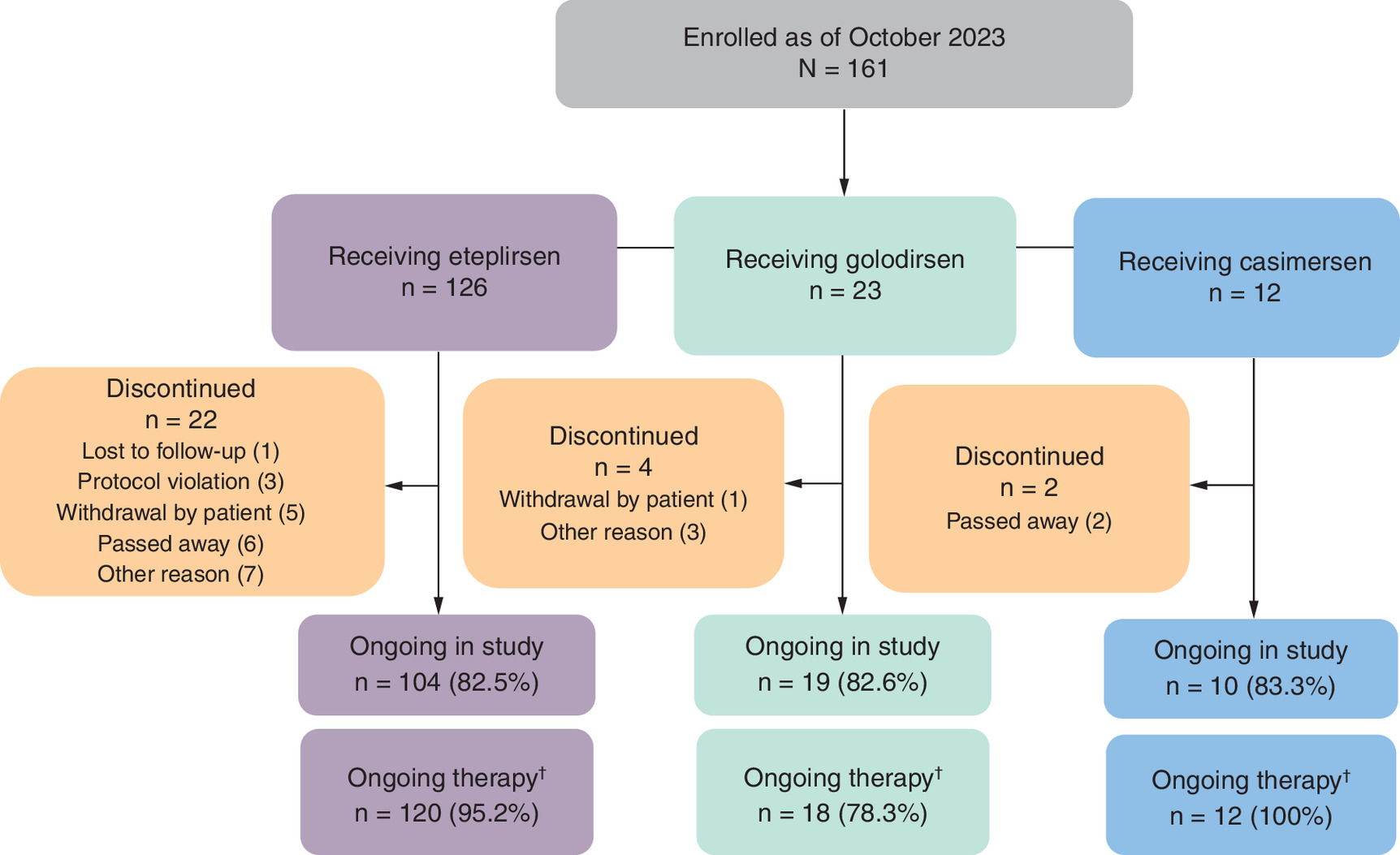 Patient disposition diagram showing enrollment and continuation rates for eteplirsen, golodirsen, and casimersen treatments in the EVOLVE study.