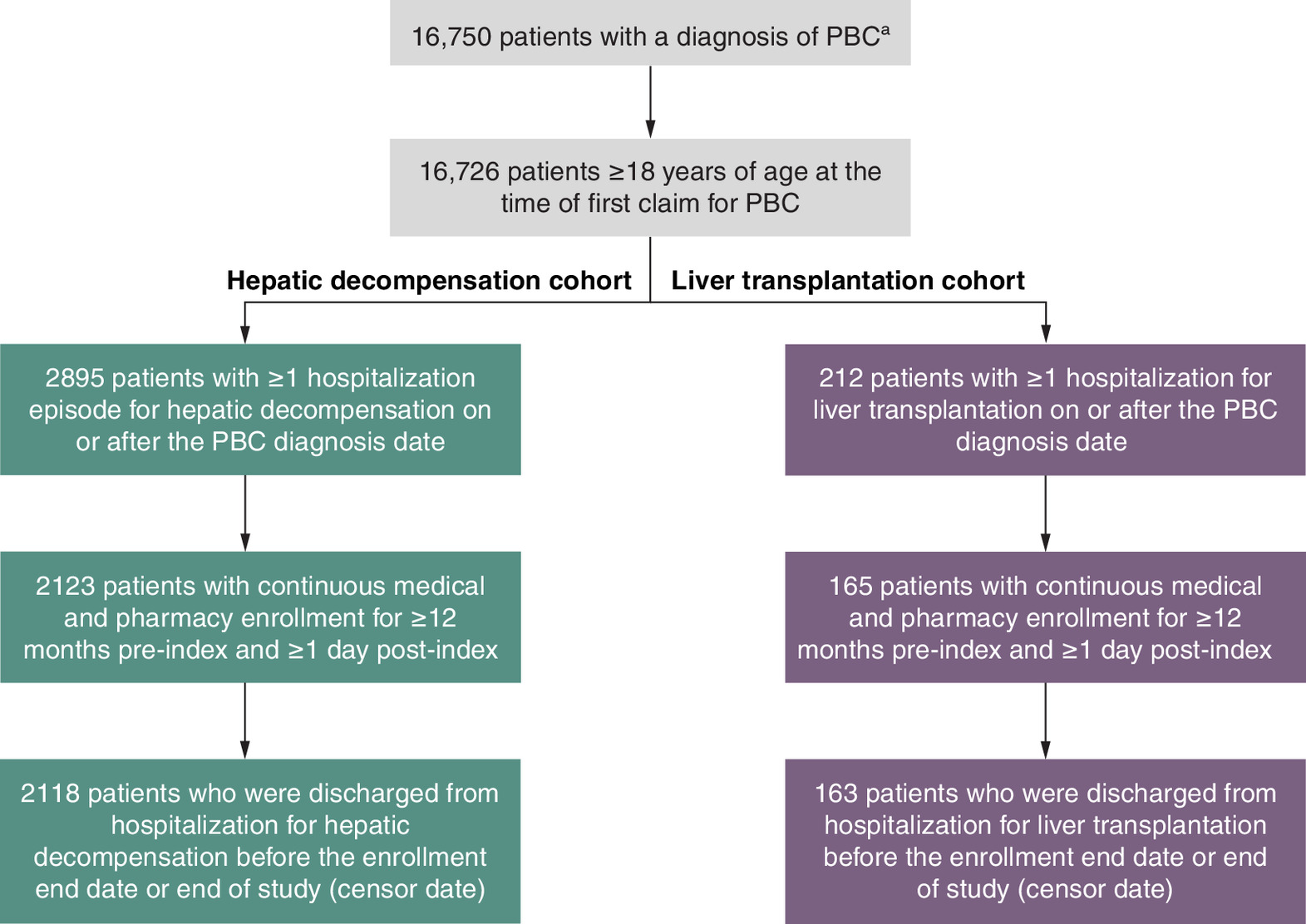 Flowchart showing attrition of patients in hepatic decompensation and liver transplantation cohorts.