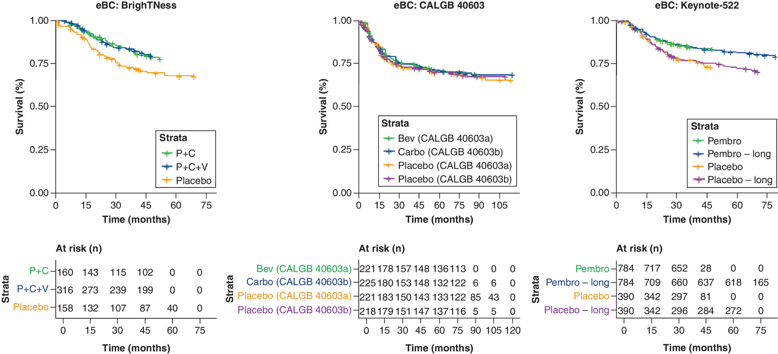 Comparison of overall survival curves\u00a0in the early breast cancer network from the BrighTNess, CALGB 40603 and KEYNOTE-522 studies.