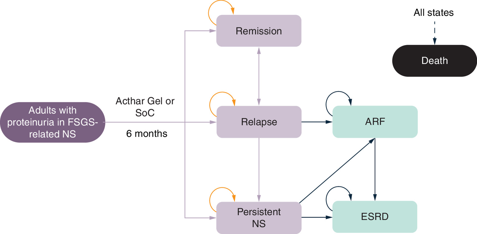 Schematic showing the probabilistic cohort model for treating proteinuria in focal segmental glomerulosclerosis patients using Acthar Gel or standard of care.