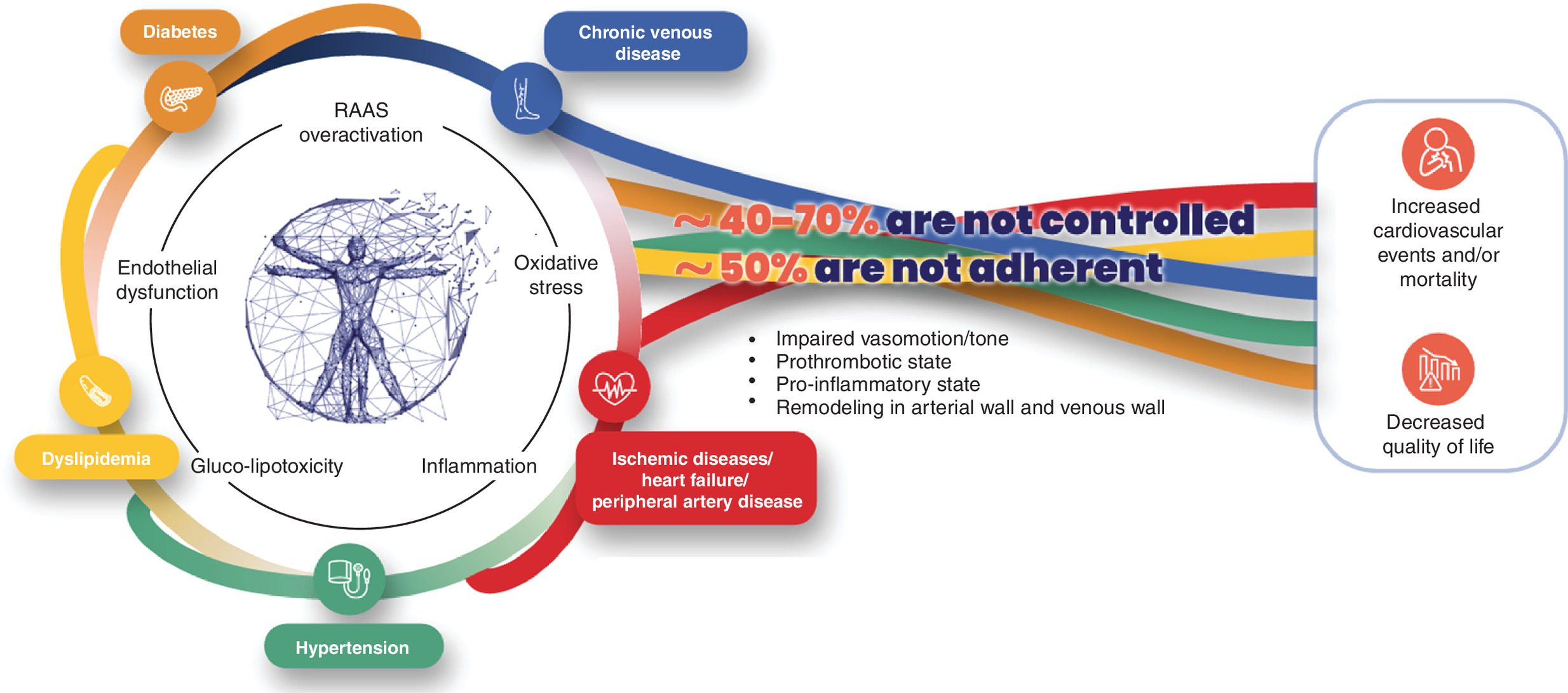 Graphical illustration of the interconnected pathways of arterial and renal disease, and cardiometabolic risk factors.