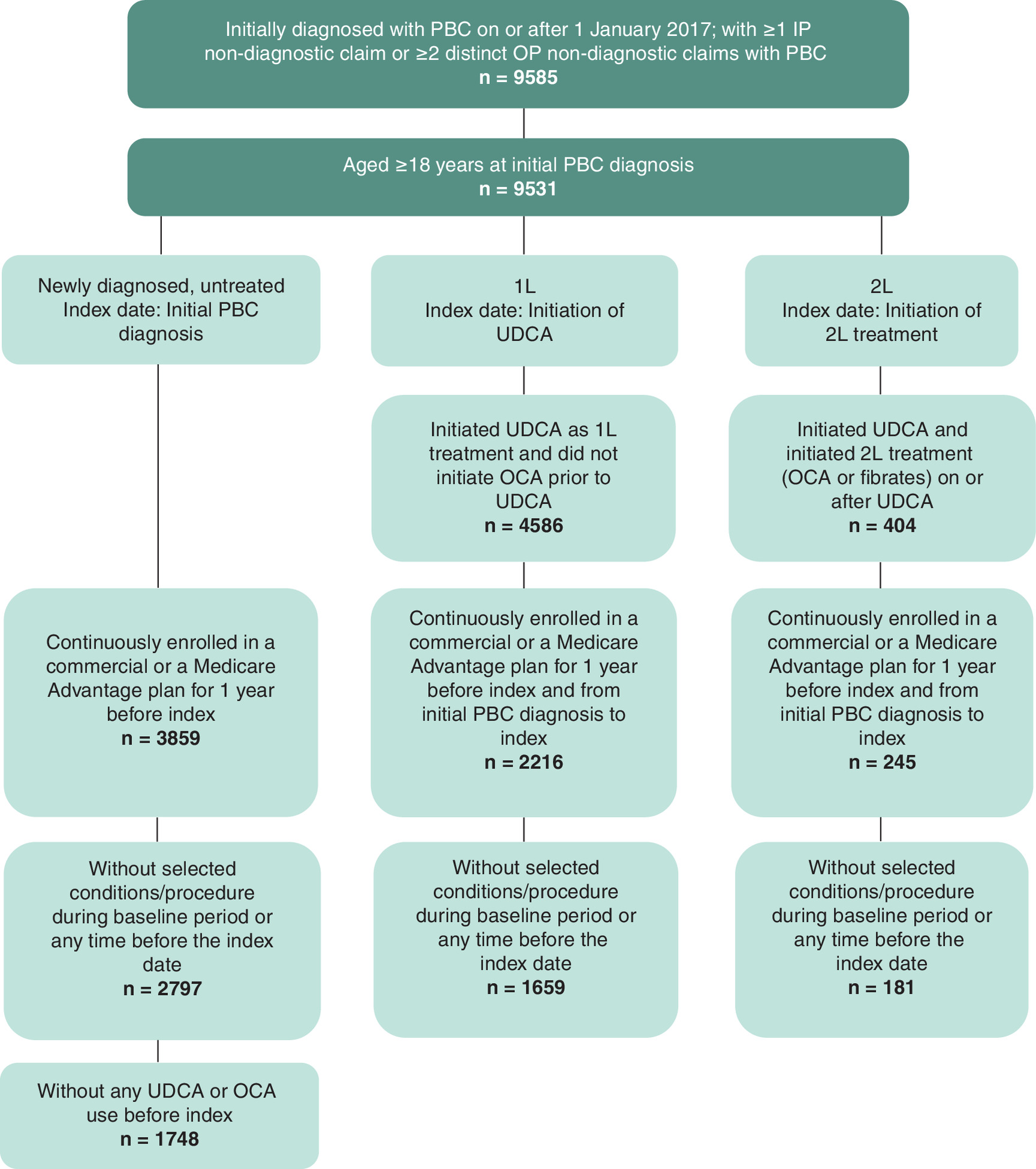 Flowchart showing the patient cohort selection process for a primary biliary cholangitis study, starting with 9585 candidates and resulting in 1748, 1659, and 181 patients who were included in the newly diagnosed cohort, first-line (1L) cohort and second-line or more (2L+) cohort, respectively.