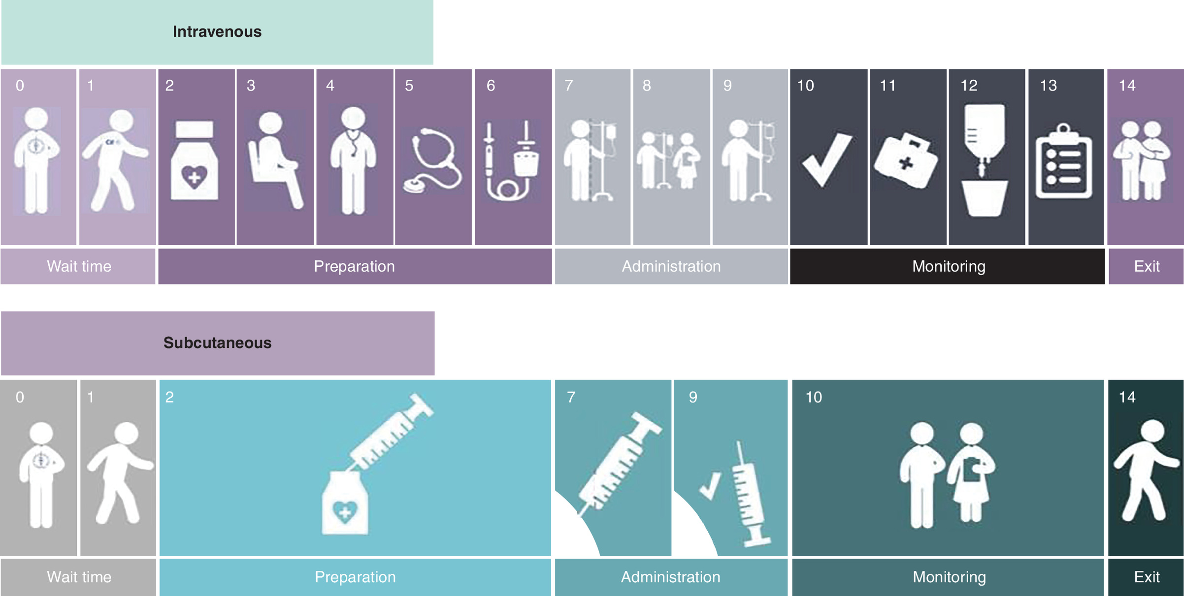 Diagram comparing the workflow steps involved in administering trastuzumab intravenously versus subcutaneously, highlighting differences in preparation, administration, and monitoring tasks.