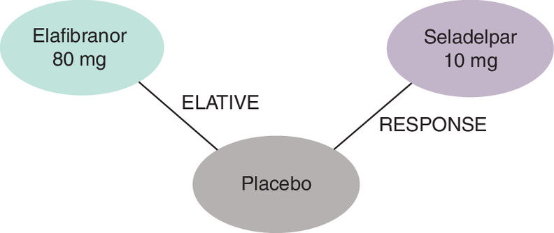 Simple network diagram showing two drug treatments - elafibranor 80 mg and seladelpar 10 mg - each connected to a central placebo node, illustrating the evidence structure used in the network meta-analysis.