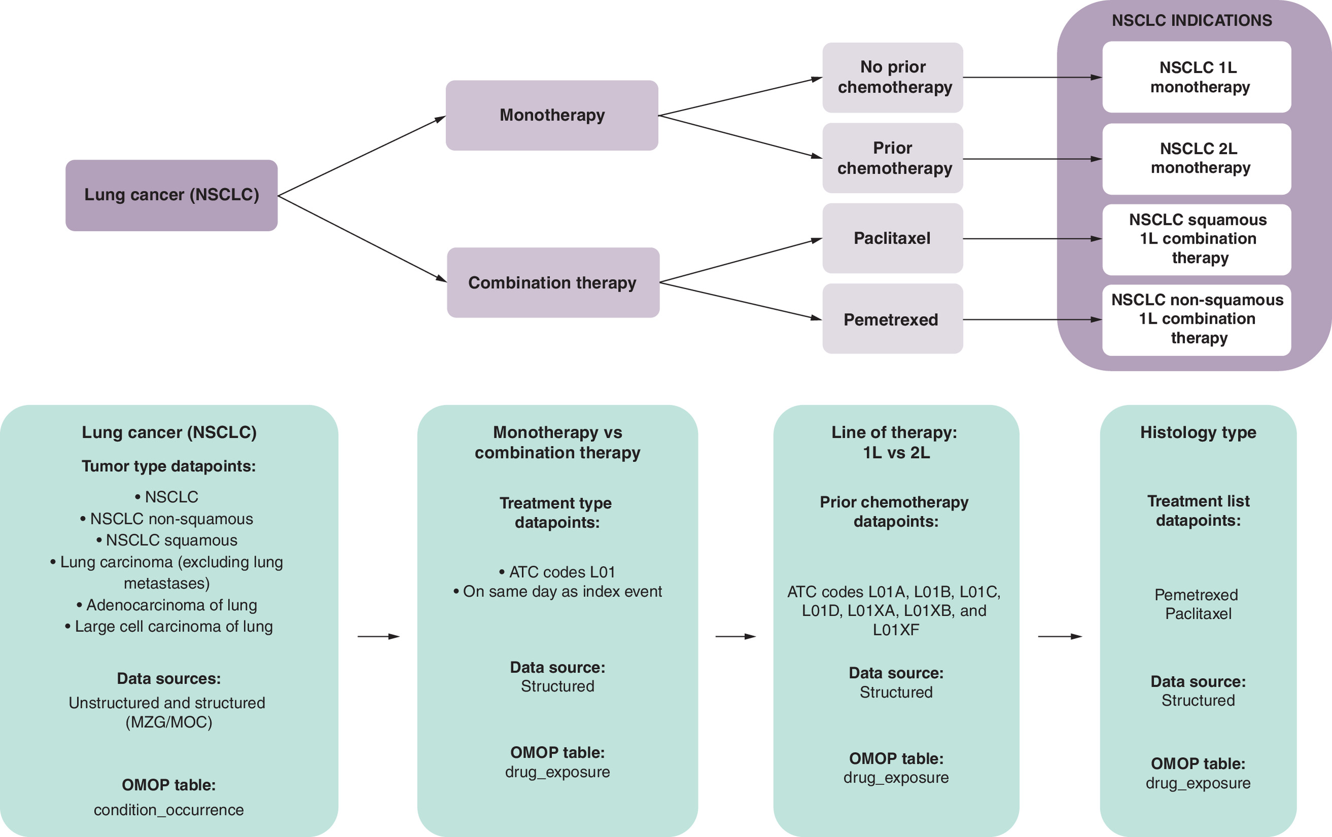 Logic framework for classifying non-small cell lung cancer patients based on tumor type, treatment, therapy line and histology.