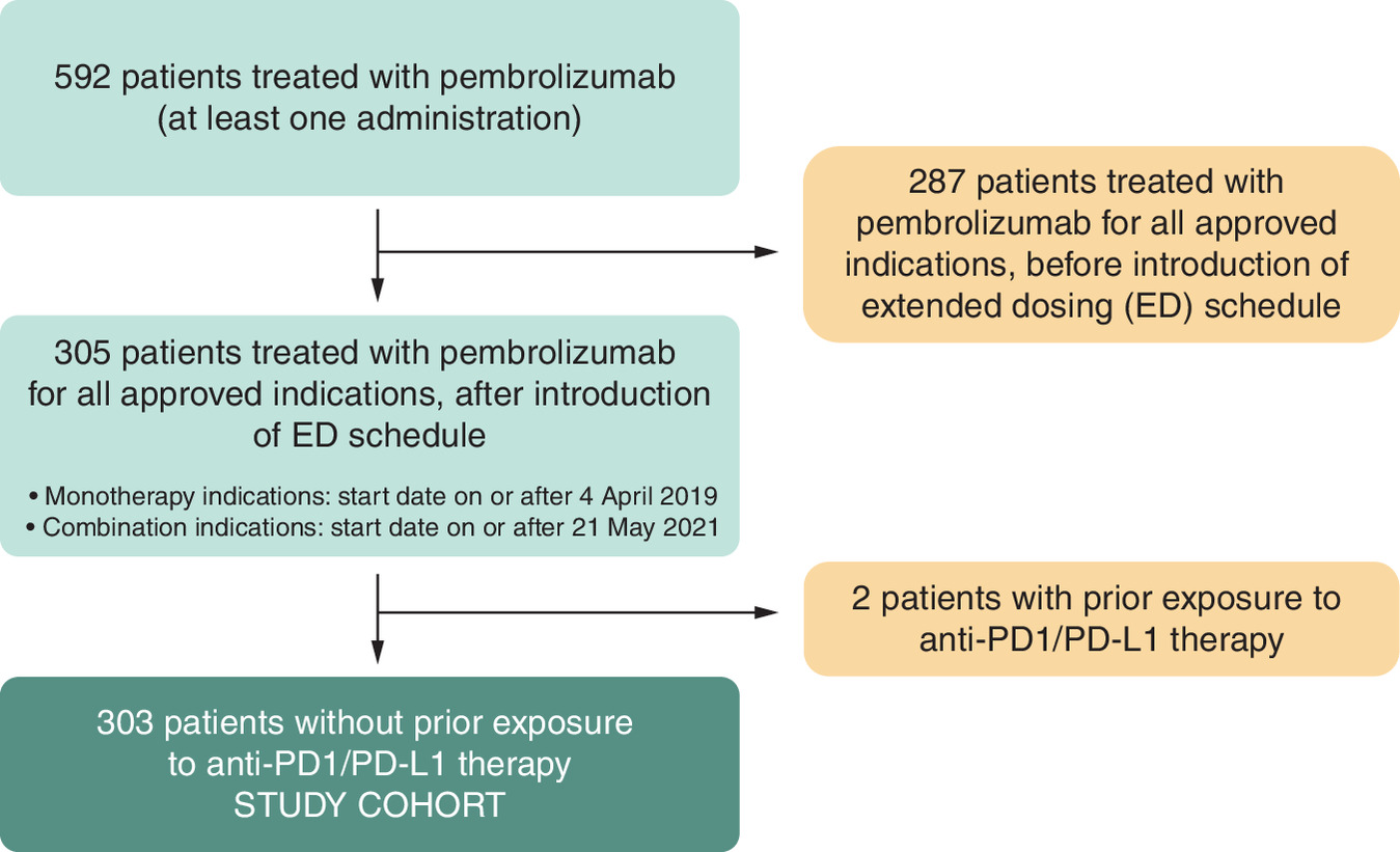 Flowchart showing the selection process for patients treated with pembrolizumab, based on timing relative to introduction of extended dosing schedule.