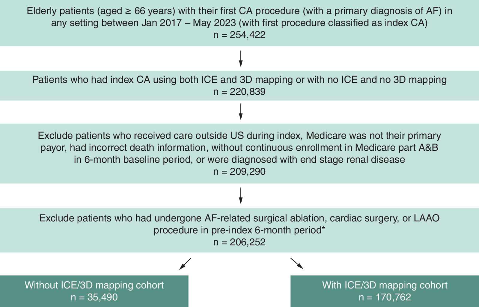 Patient attrition chart showing a total of 206,252 patients included in the study, with 35,490 patients undergoing ablation with, and 170,762 without intracardiac echocardiography (ICE)/3D mapping.
