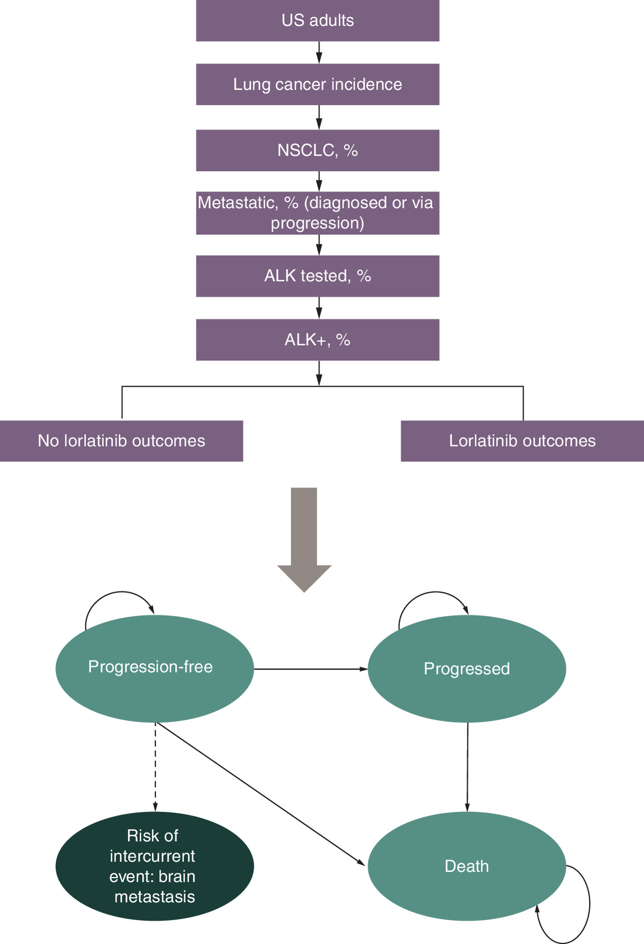 Flow diagram showing how the model estimates outcomes for adults with ALK-positive metastatic non-small cell lung cancer.