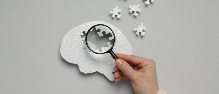 Hand holding magnifying glass over brain-shaped puzzle with missing pieces, symbolizing Alzheimer’s study.