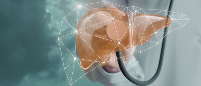 Doctor holds 3D digital model of a liver with stethoscope and network connections overlay.