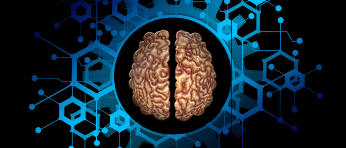 A 3D-rendered brain split into two halves centered on a blue tech-themed network background.
