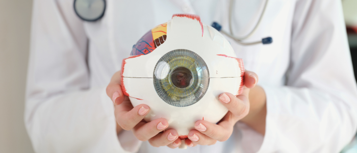 Doctor holding a large anatomical model of a human eye. To represent that Verana Health and Nanoscope Therapeutics to advance retinitis pigmentosa research with real-world data in new partnership.