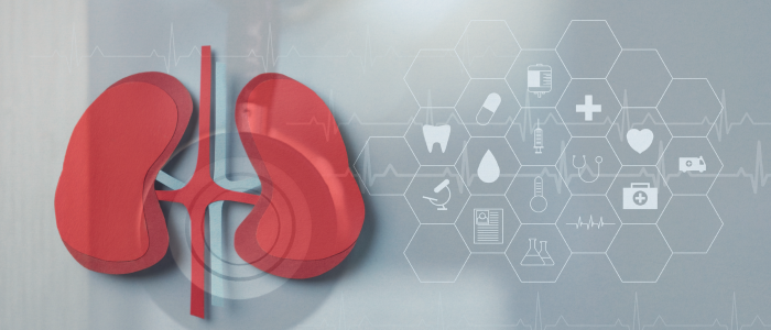 Illustration of red kidneys with ureters beside hexagonal medical icons for drugs, diagnostics, and healthcare data.