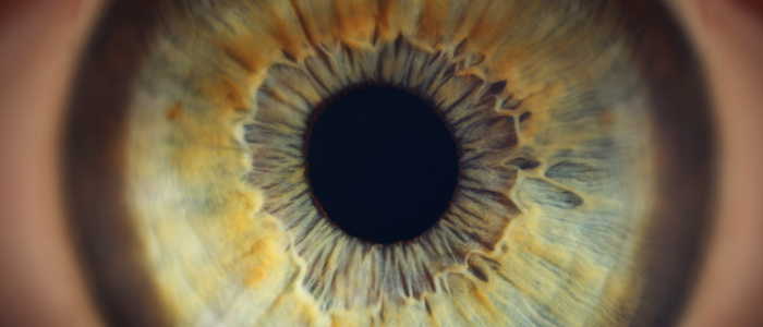 Image of an eyeball