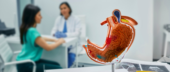 Anatomical stomach model in the foreground with a patient consulting a doctor in a gastroenterology clinic background.