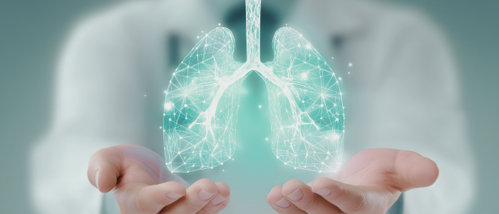 Doctor holding digital lungs illustration